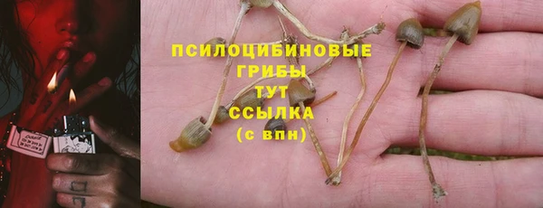 гашик Балахна