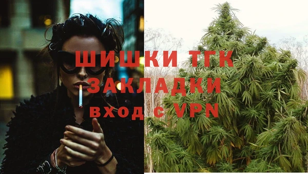 гашик Балахна