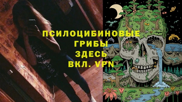 гашик Балахна