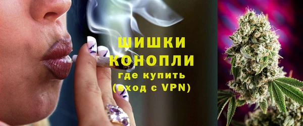 гашик Балахна