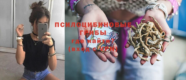 гашик Балахна